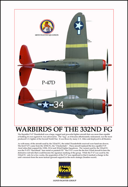 "Warbirds of the 332nd FG" Tuskegee Airmen P-47 Print by Jerry Taliaferro